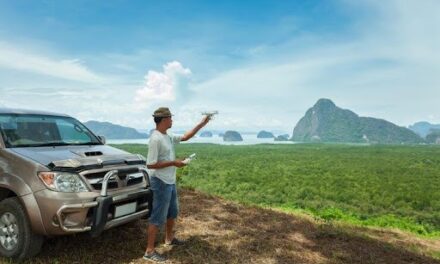 5 Benefits of Using North Bengal Car Rental for Nature and Wildlife Trips