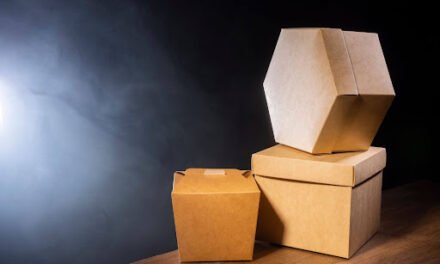 Honeycomb Paper Packaging: What Is It and How Does It Protect Products During Shipping? 